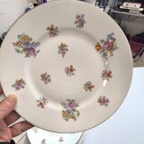 Limoges dinnerware set