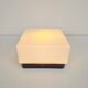 Vintage Bauhaus Ceiling Lamp with White Glass Bakelite, 1960s