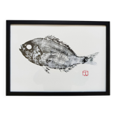 Framed art print, "Print of a sea bream"