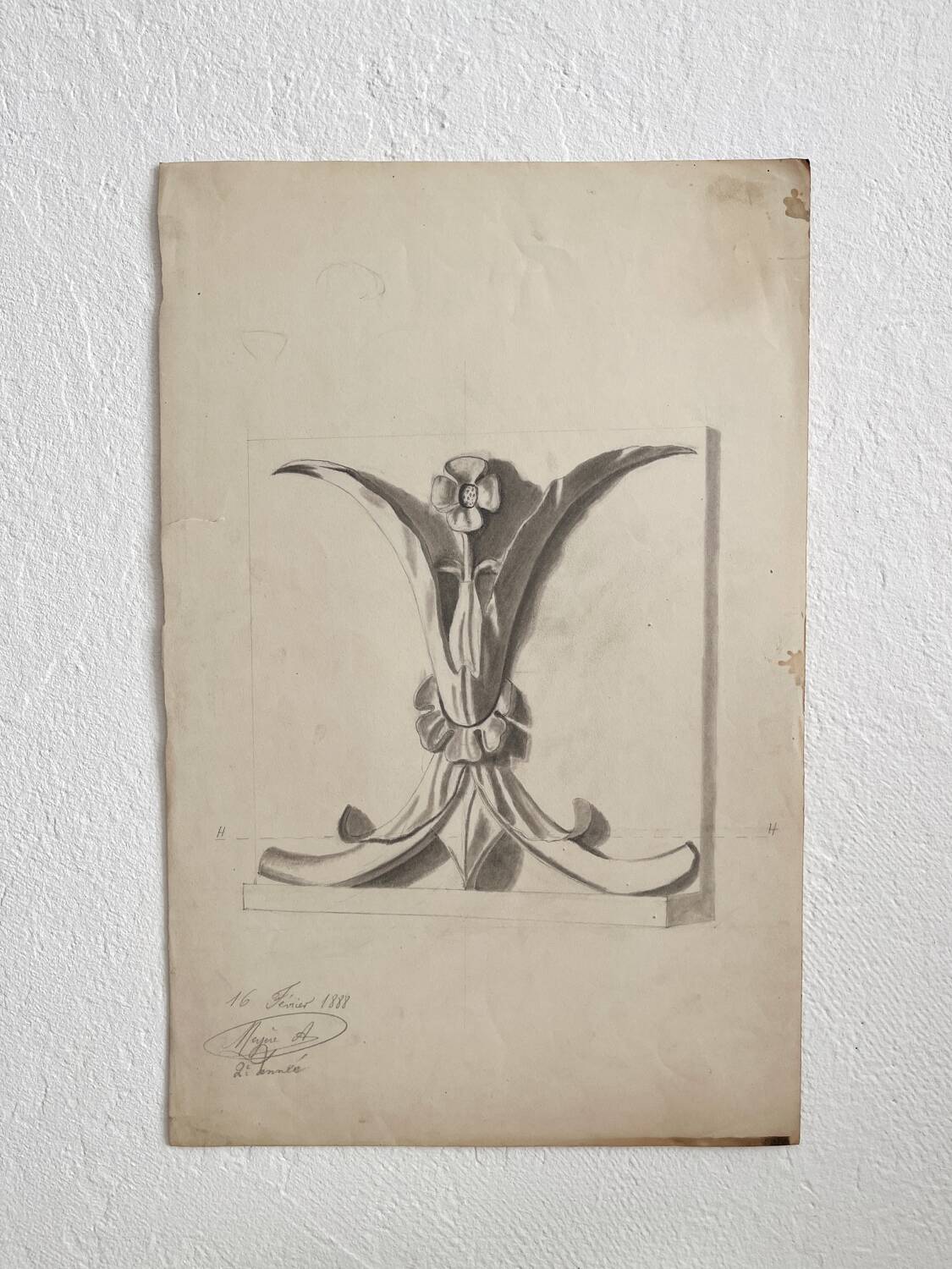 Old academic drawing ornament classical architecture late 19th century