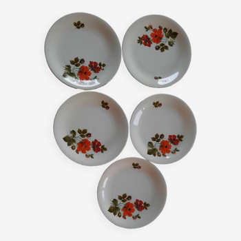 Bavaria red rose and orange dessert plates