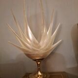 Shell lamp by Roger Rougier - 1970