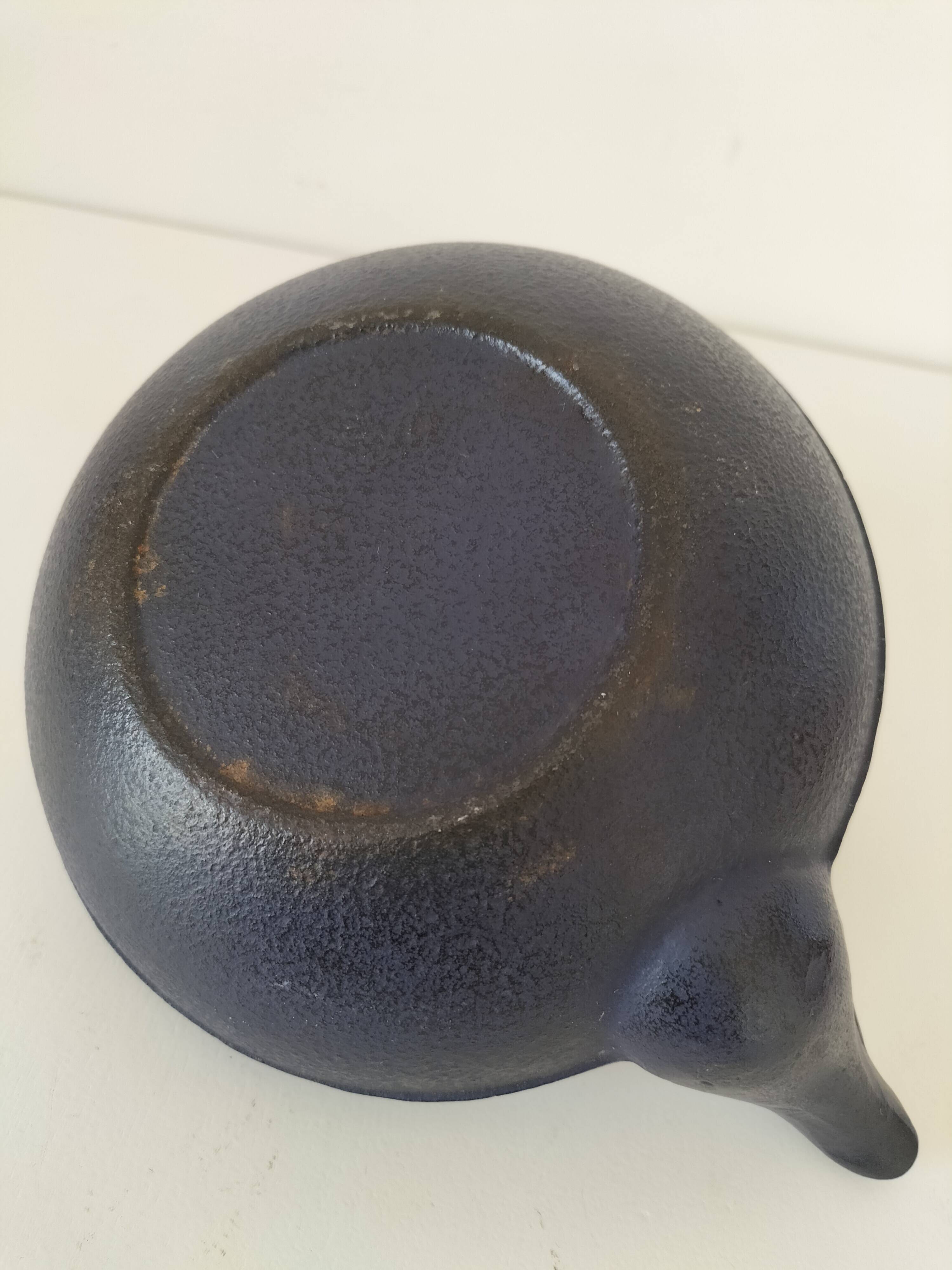 Japanese cast iron teapot