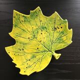 Plat feuille de platane