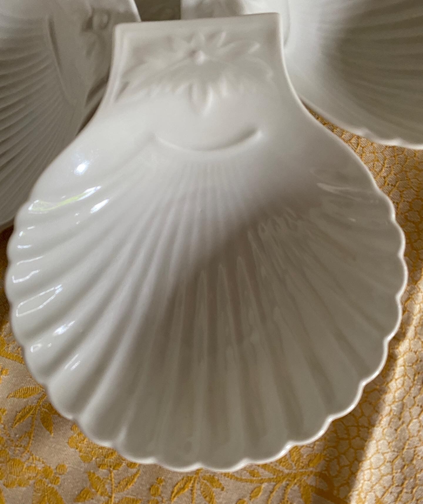 4 cups "scallop shell" Apilco