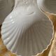 4 cups "scallop shell" Apilco