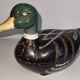 Duck Terrine in earthenware – Michel Caugant – Vintage