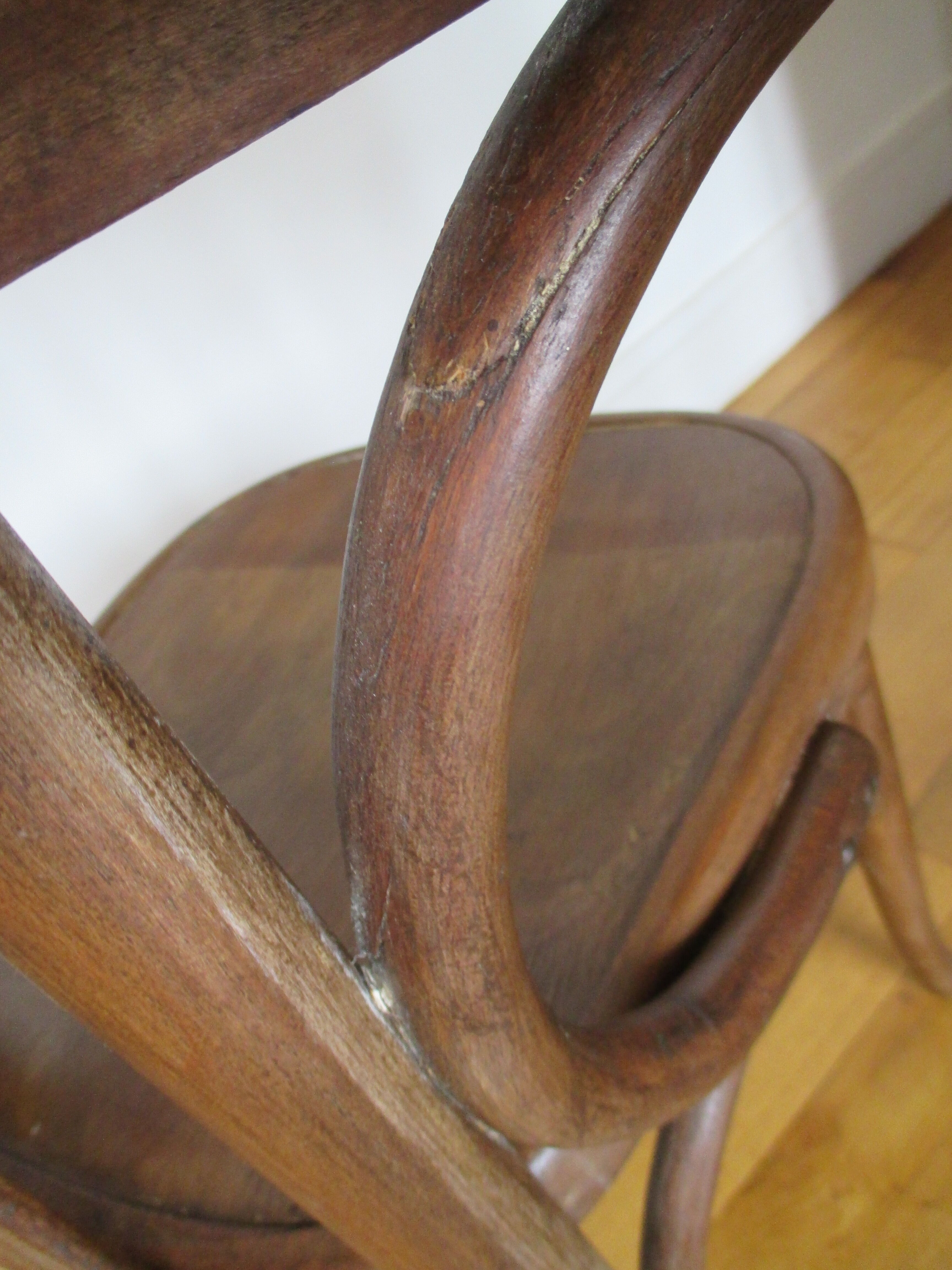 Fischel office chair bentwood