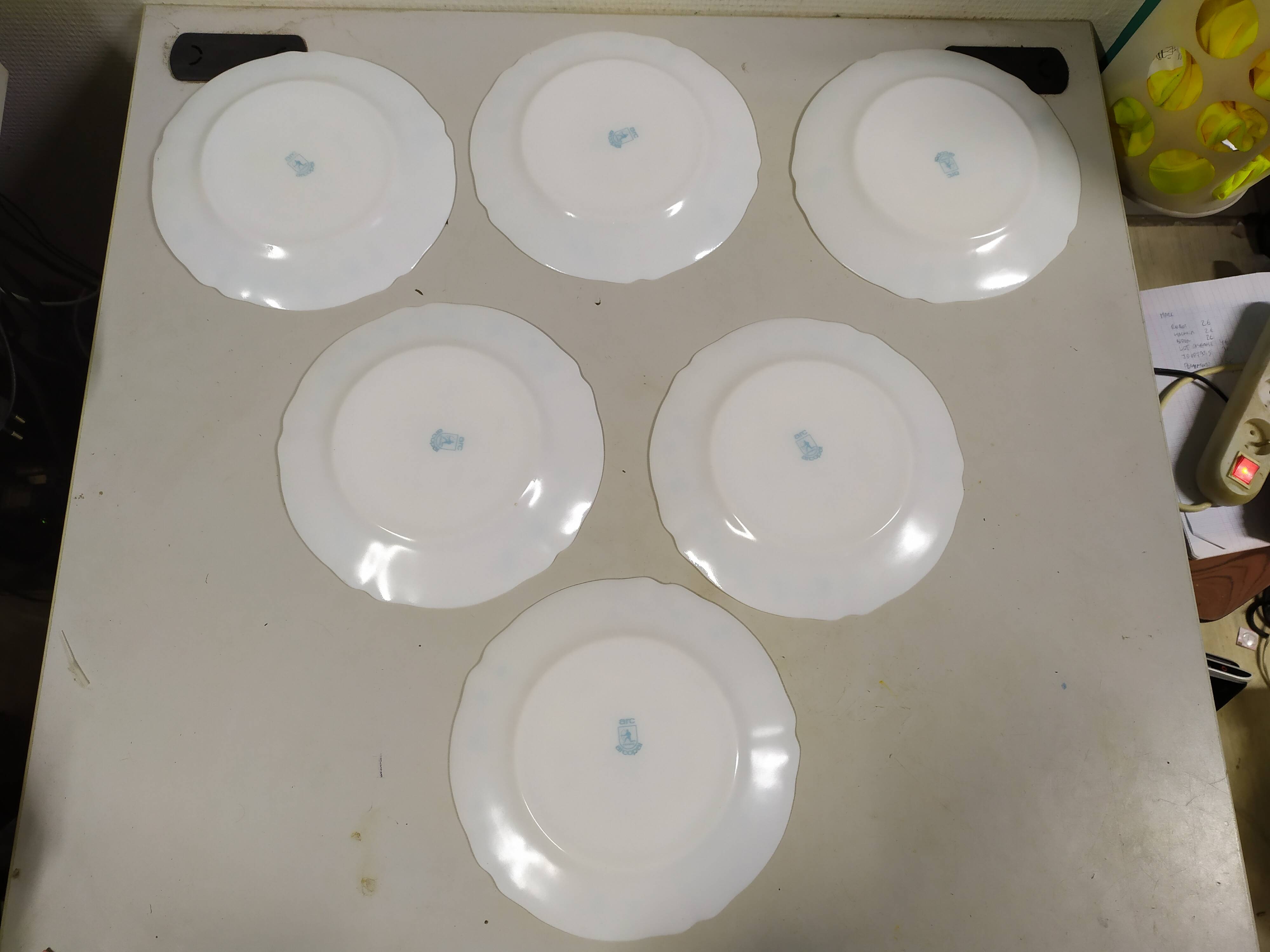Lot de 6 assiettes plate Arcopal Véronica Myosotis fleur bleu vintage