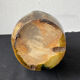 Vase amphore art nouveau XX eme