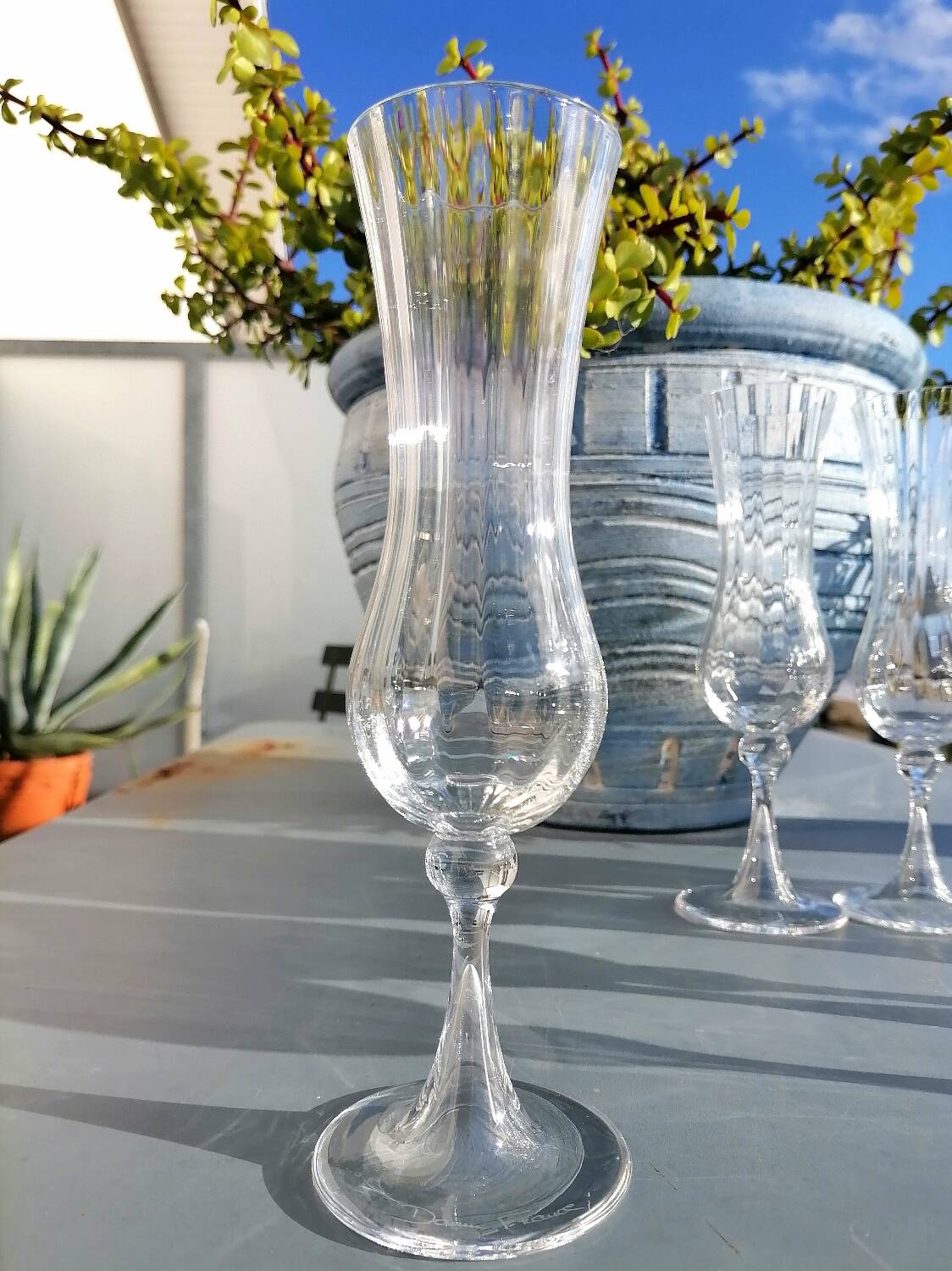 12 Daum Verona Collection champagne flutes