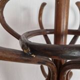 Vintage parrot coat rack