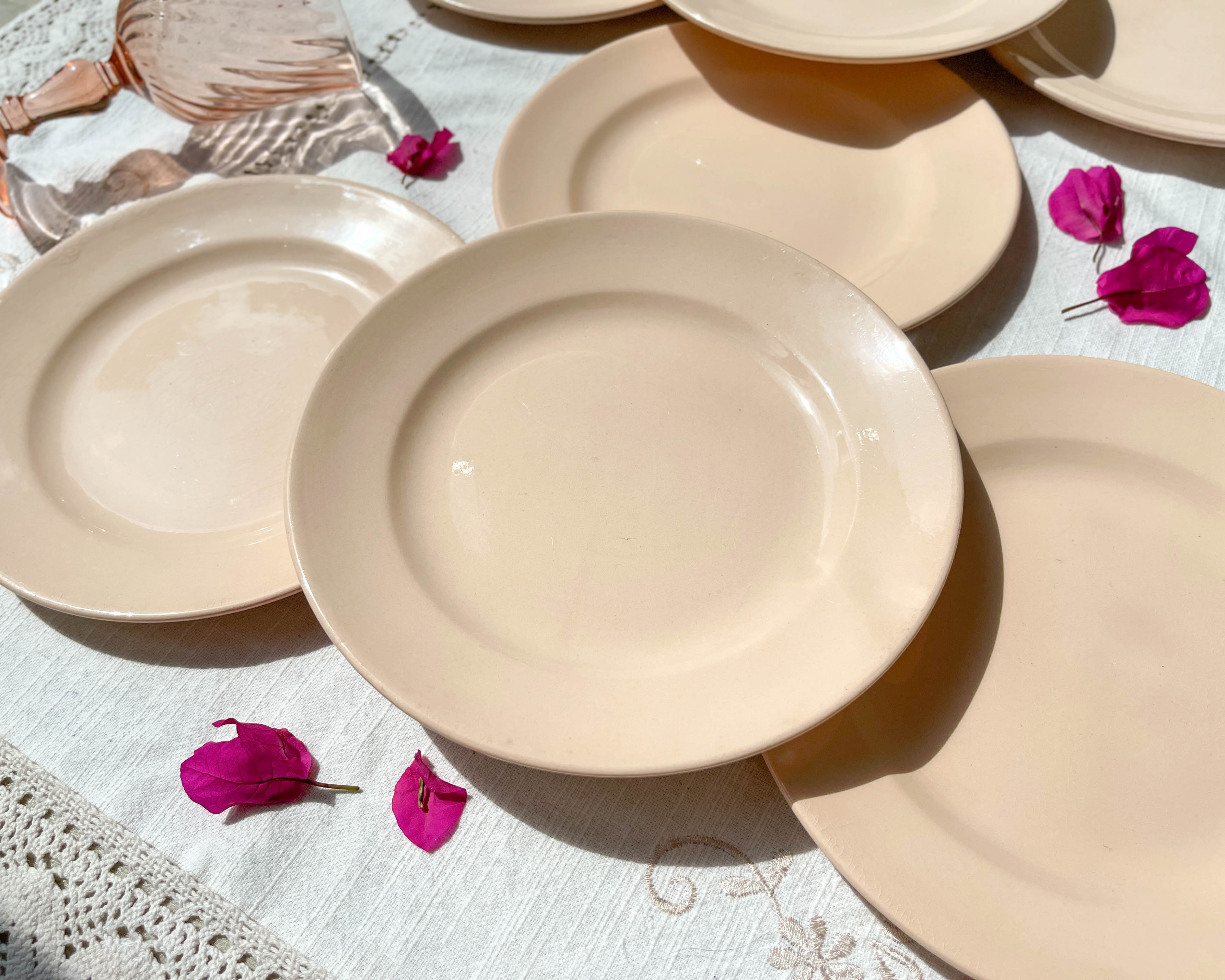 7 Small dessert plates Rose Digoin Sarreguemines