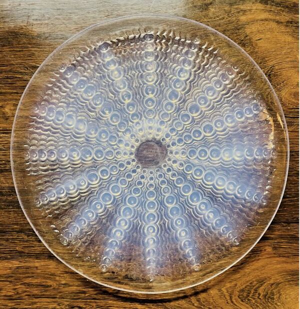 Plat René Lalique modèle Oursin verre opalescent