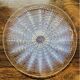 René Lalique dish, Oursin model, opalescent glass