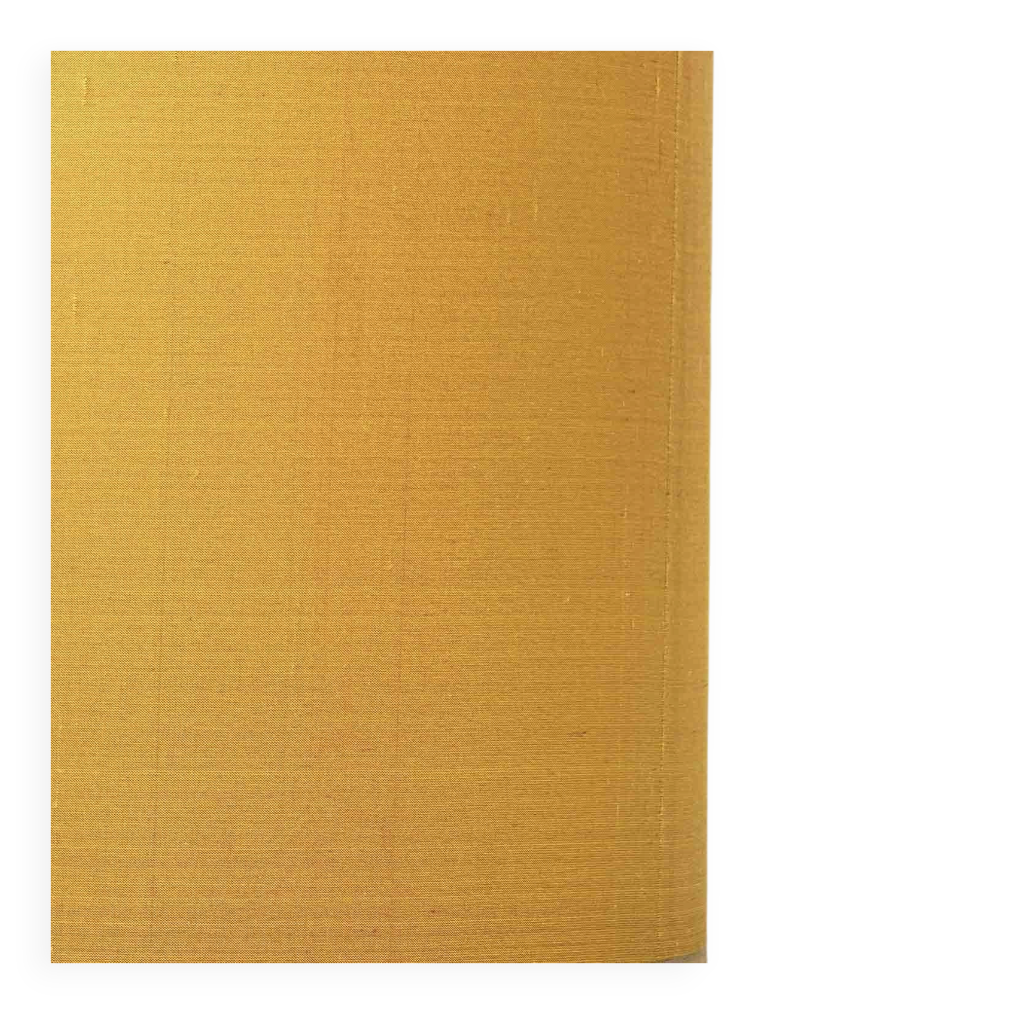 Italian Majolica Albarello table lamp, pharmacy, 19th century.