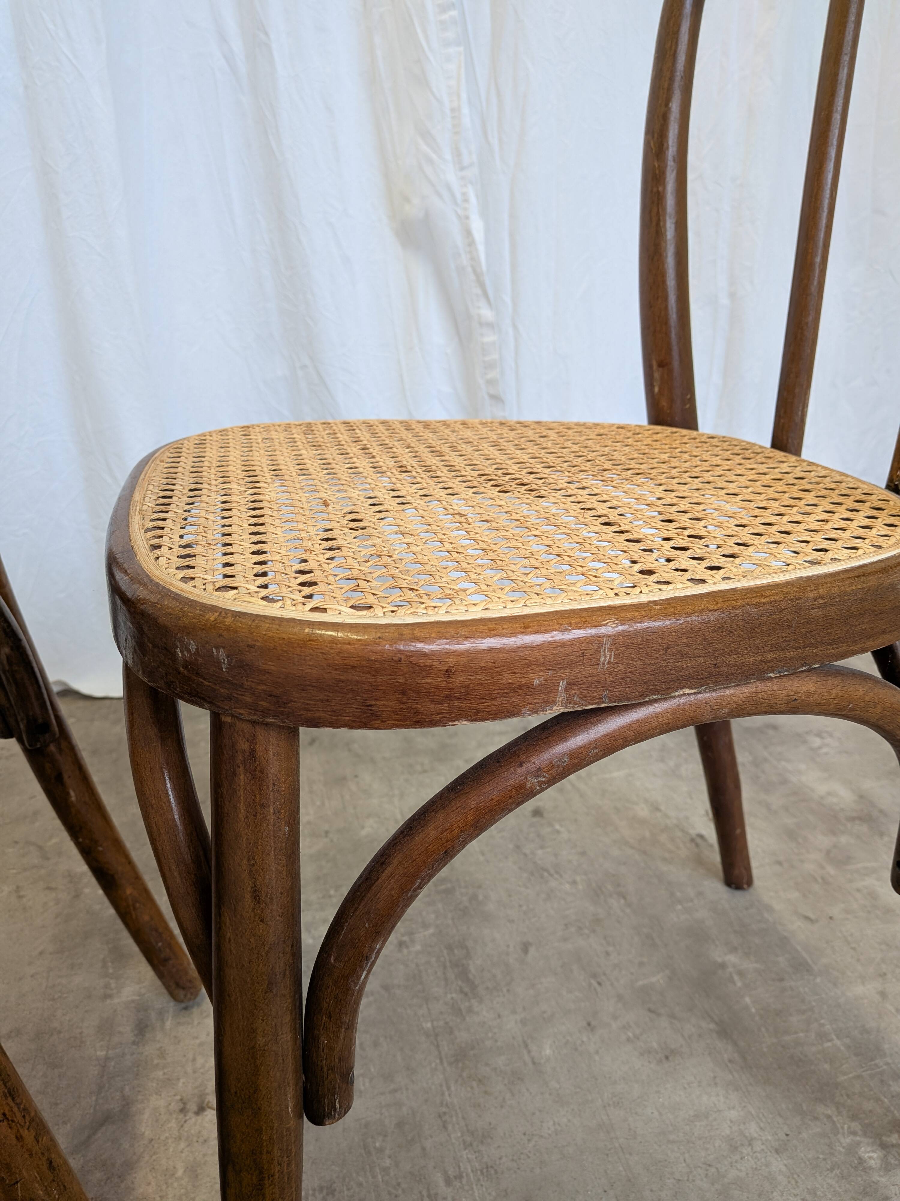 Set of 4 Vintage Thonet Style Dining Chairs: Bentwood Cane Seat, 1970s Bist
