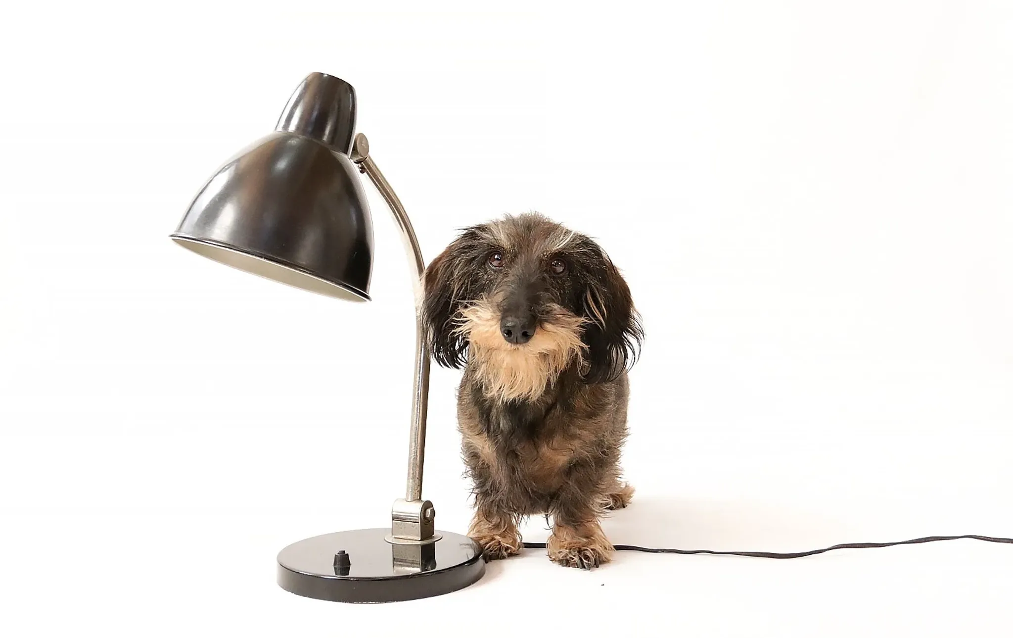 Vintage black desk lamp in Bauhaus style