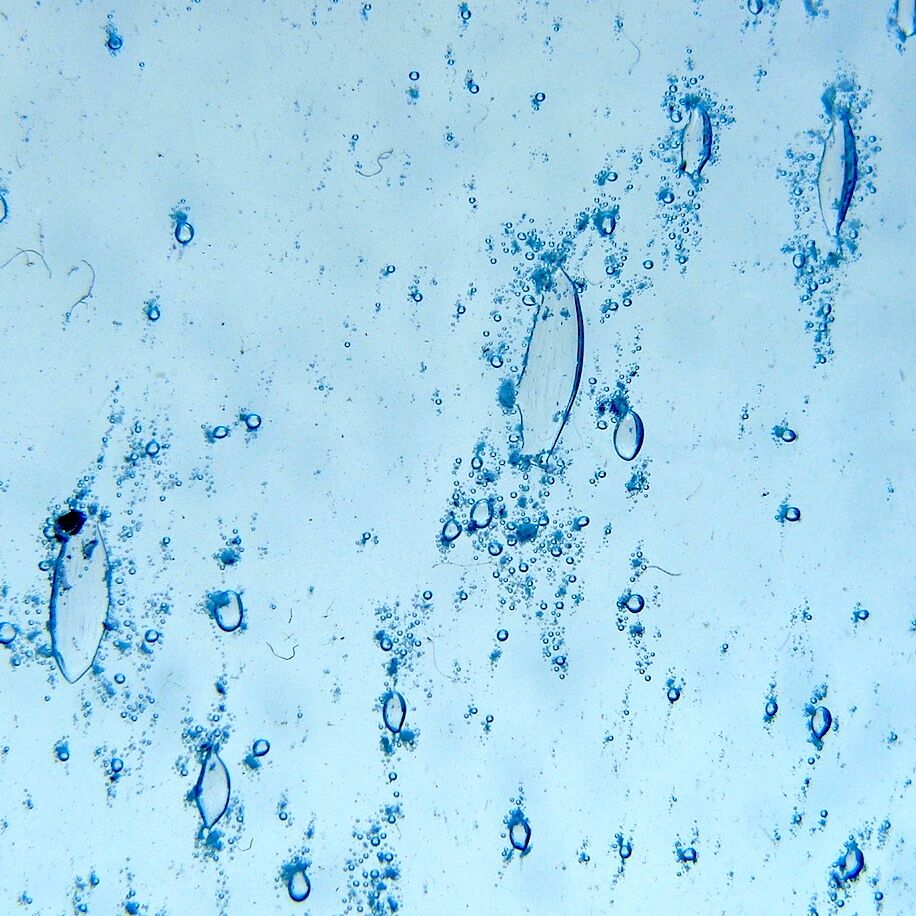 Vintage pitcher in bubbled glass