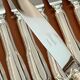 Christofle Chinon 12 table knives 24.5 cm