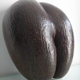 Old basket coco Seychelles