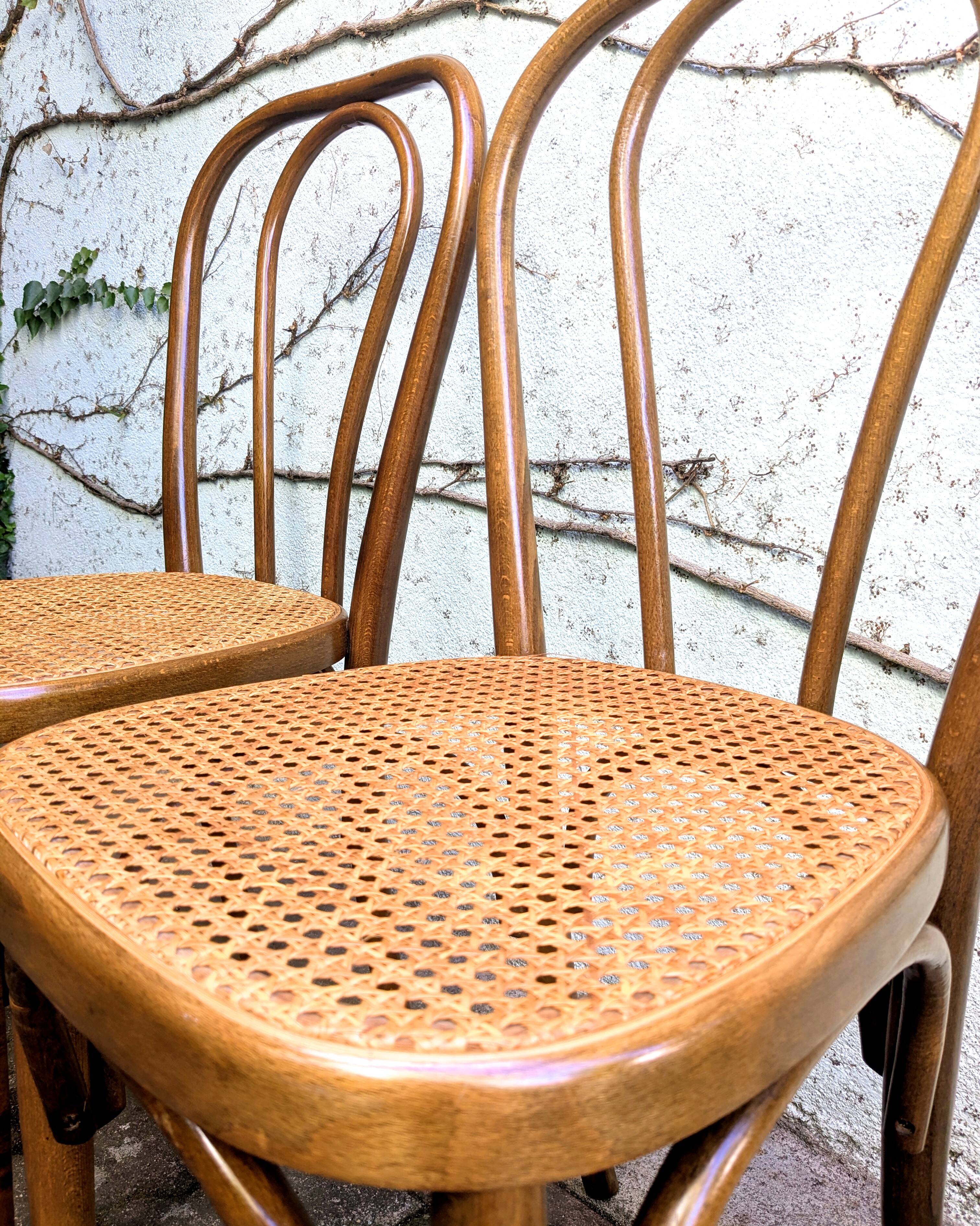 Cane and bentwood chairs