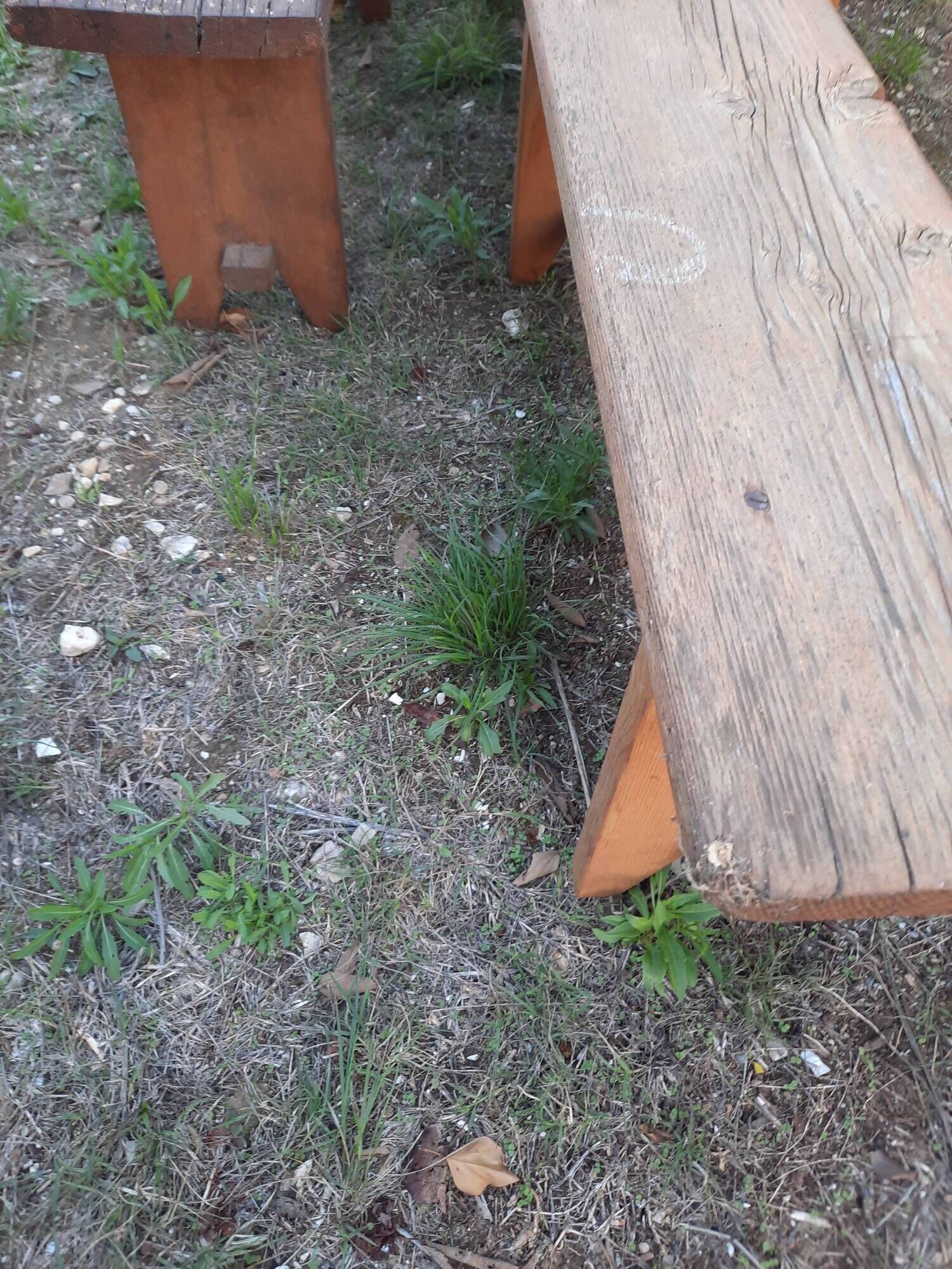 Old farm benches