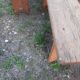 Old farm benches