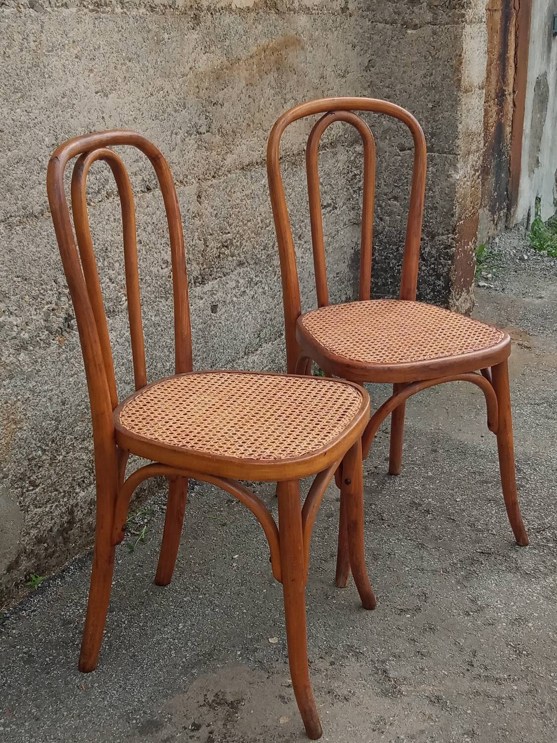 Pair of caned Fischel chairs, circa 1900