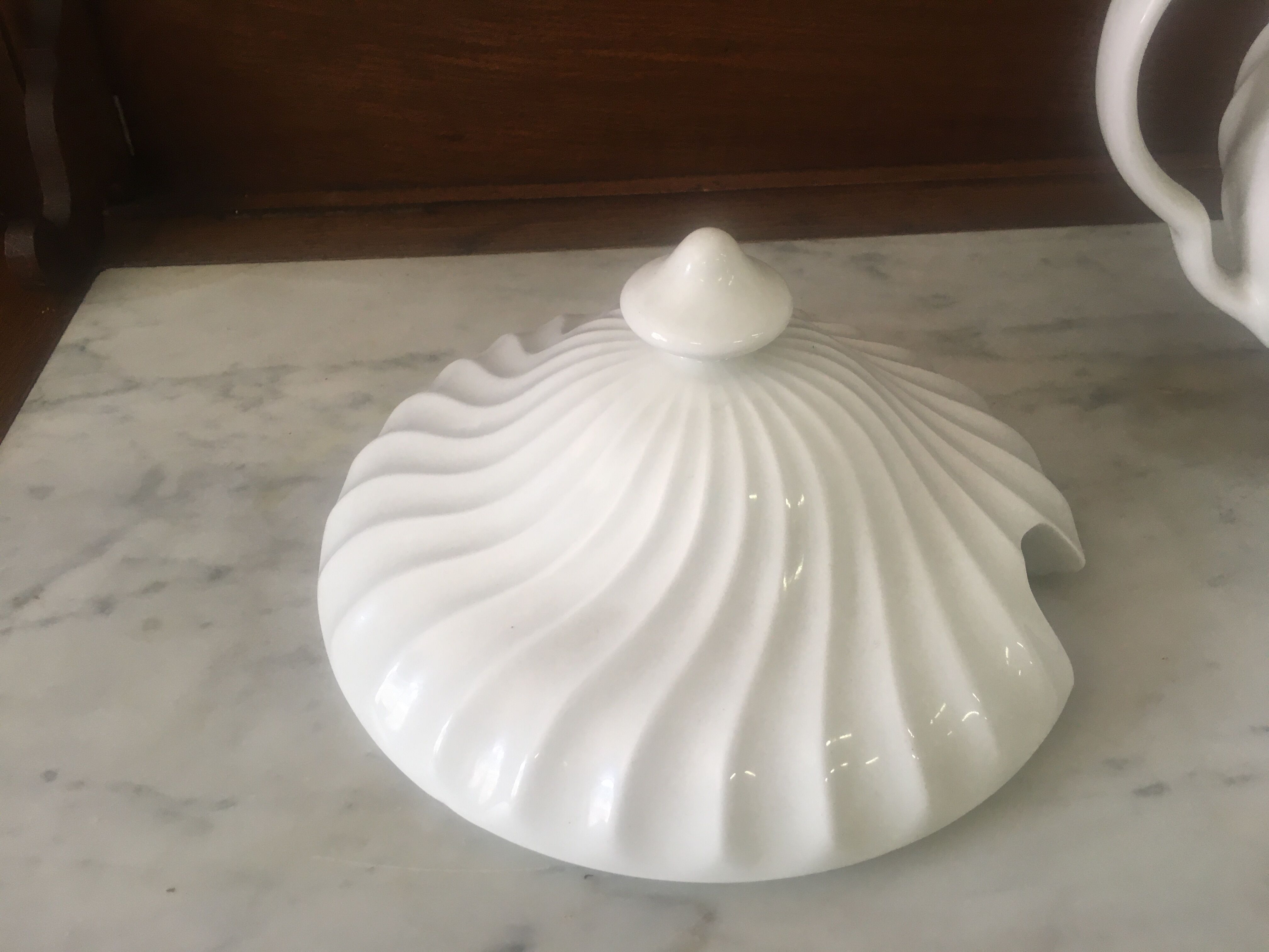 Soup maker and her white Ironstone Snowhite Regenoy