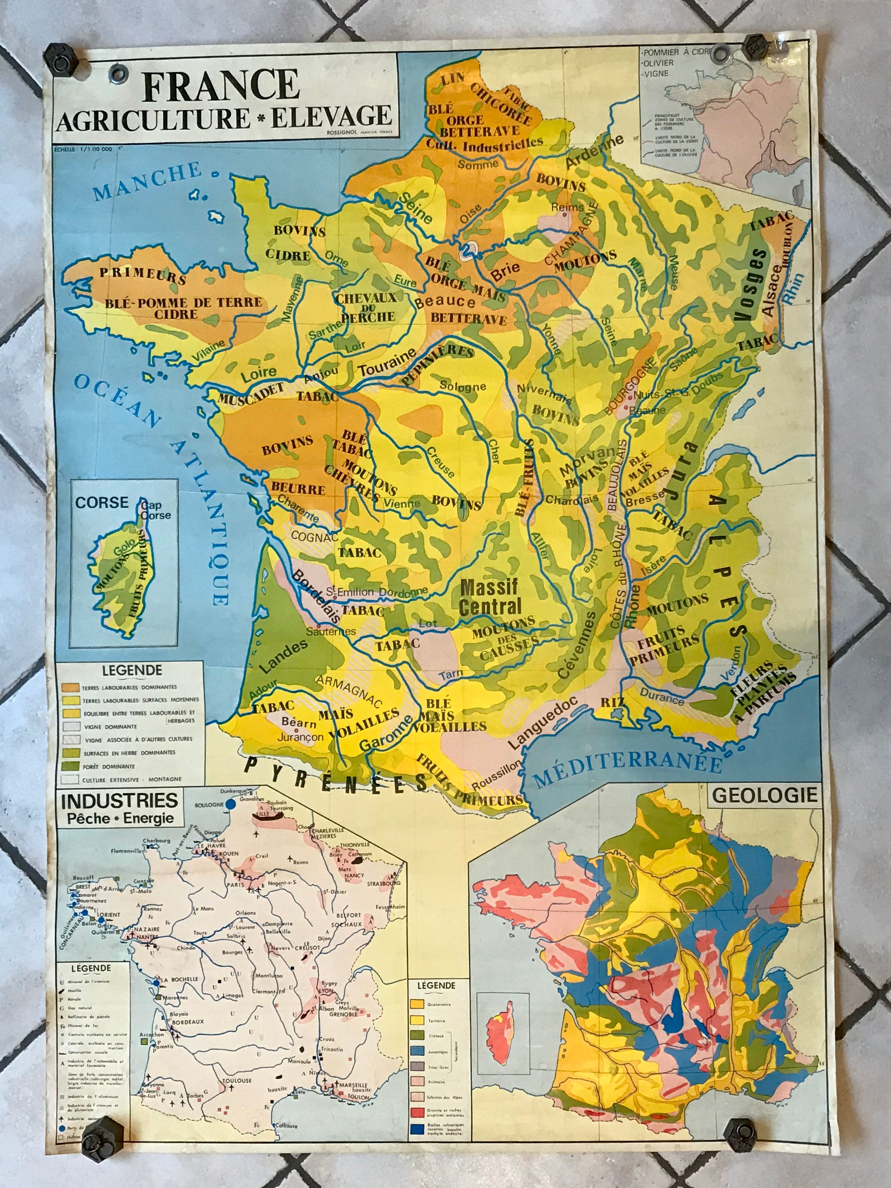 School map of france agriculture & livestock and administrative france 50s-60s