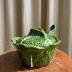 Cabbage clay soup tureen
