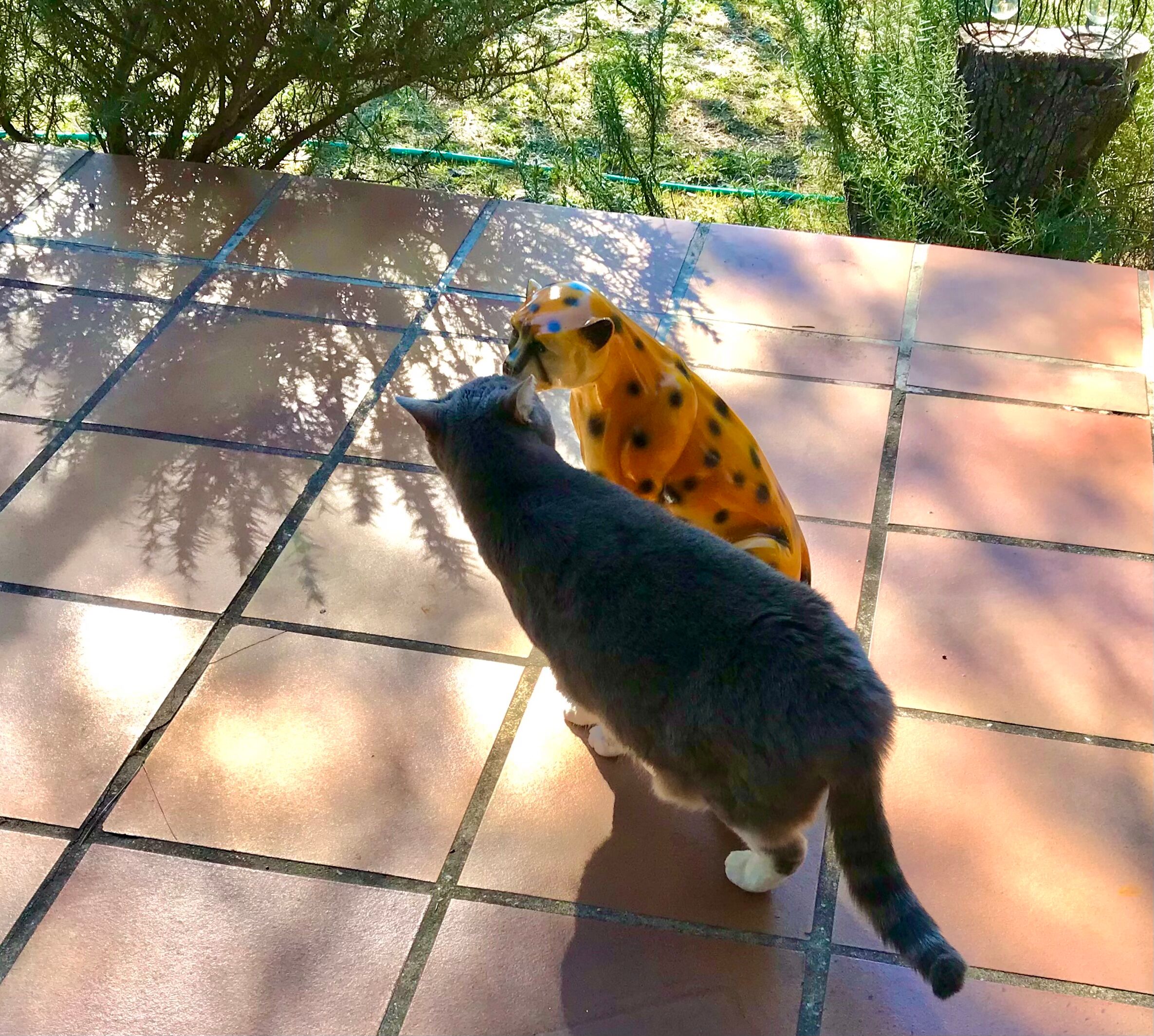 Ceramic leopard, 70s