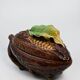 Ceramic cocoa pod