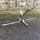 VINTAGE 1970 COFFEE TABLE OVAL CHROME SMOKED GLASS BROWN