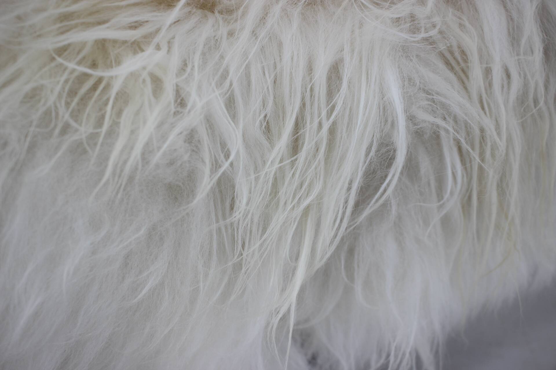 1960s Exclusive Daybed in Sheep Skin