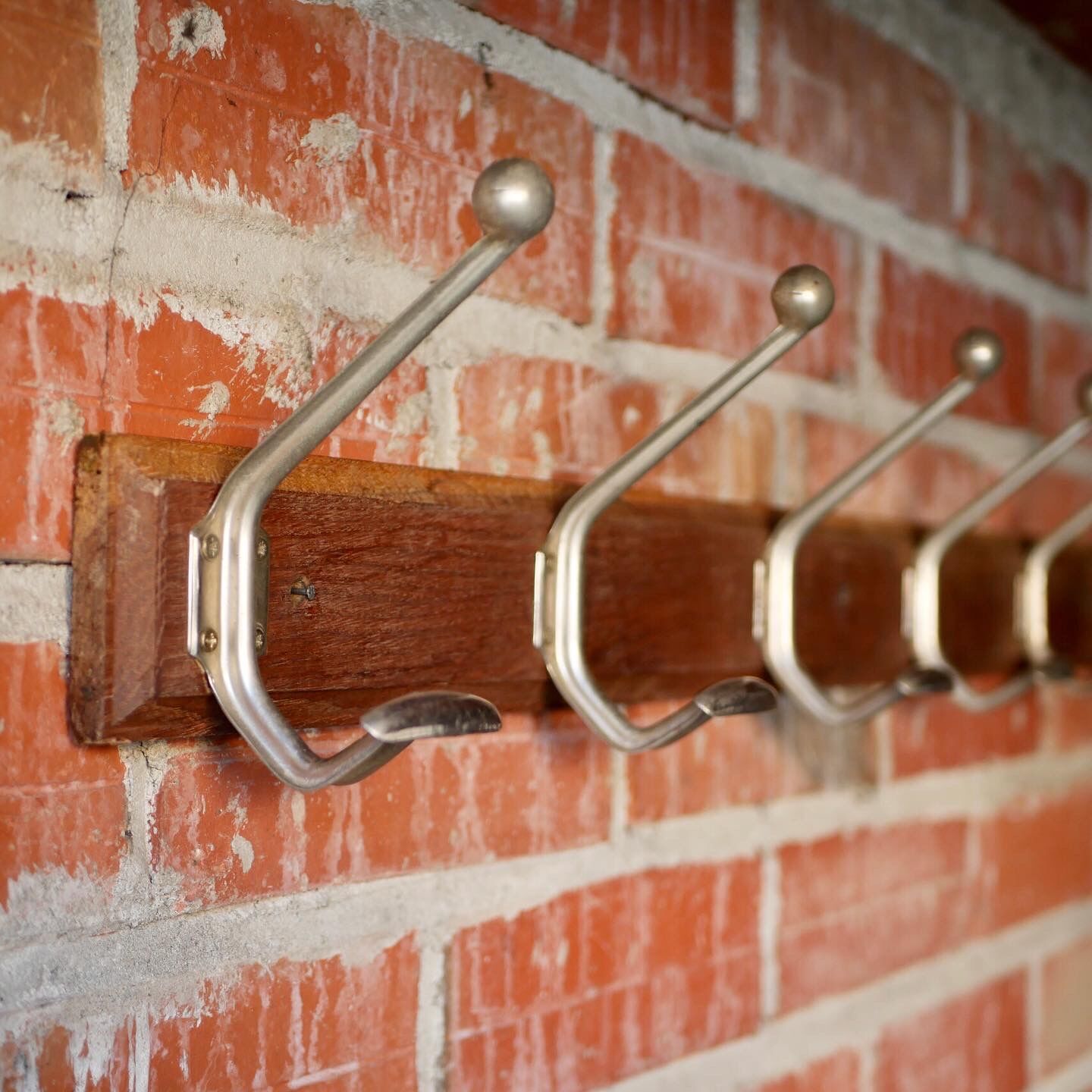 Coat rack wall hooks