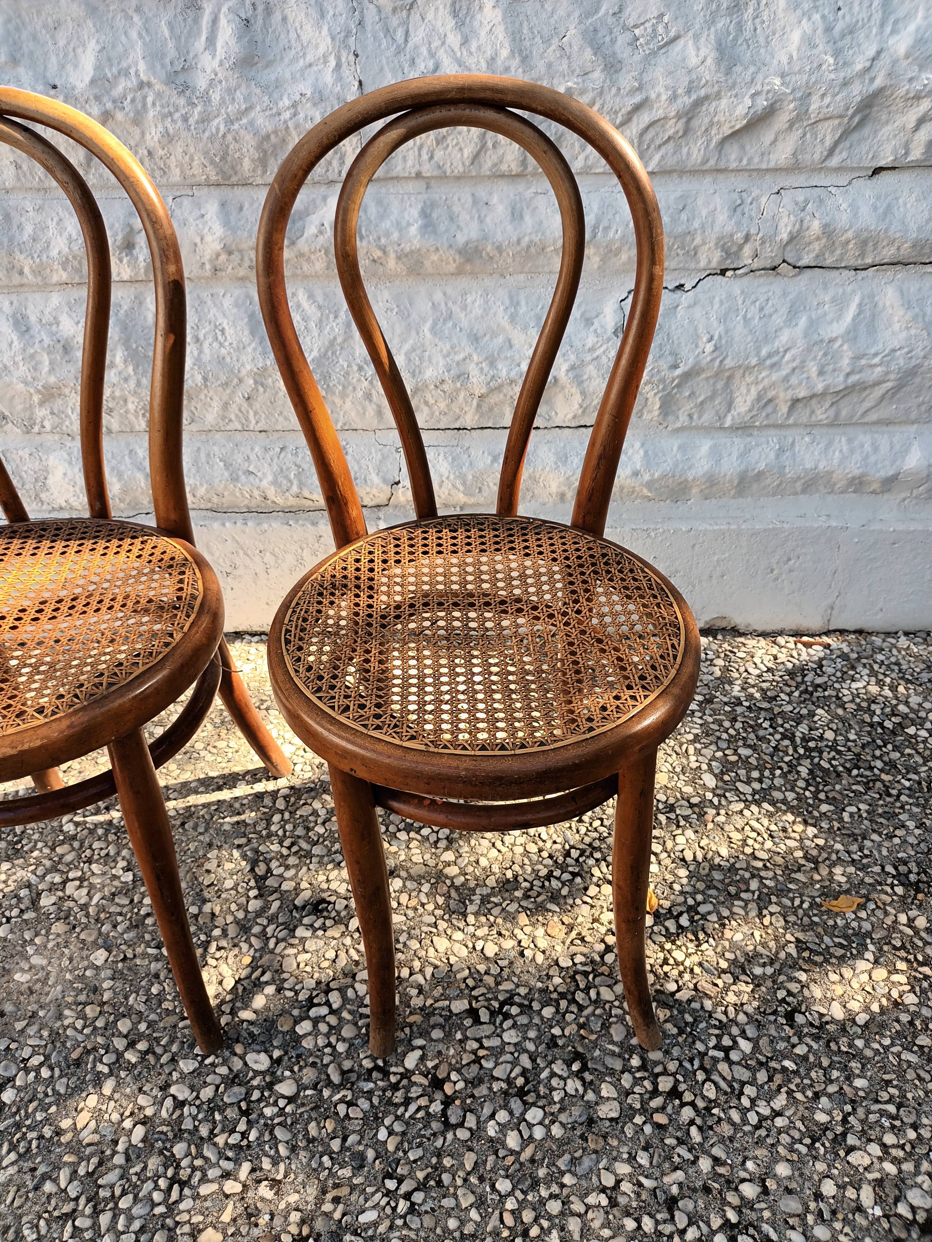 Canned chairs Thonet