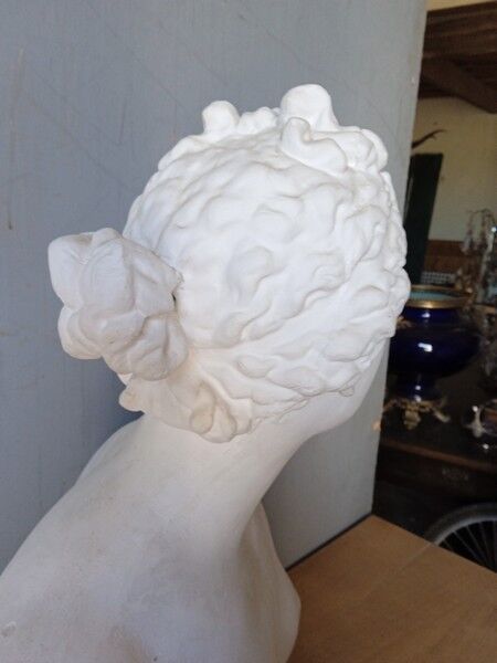 Large flat bust of Venus