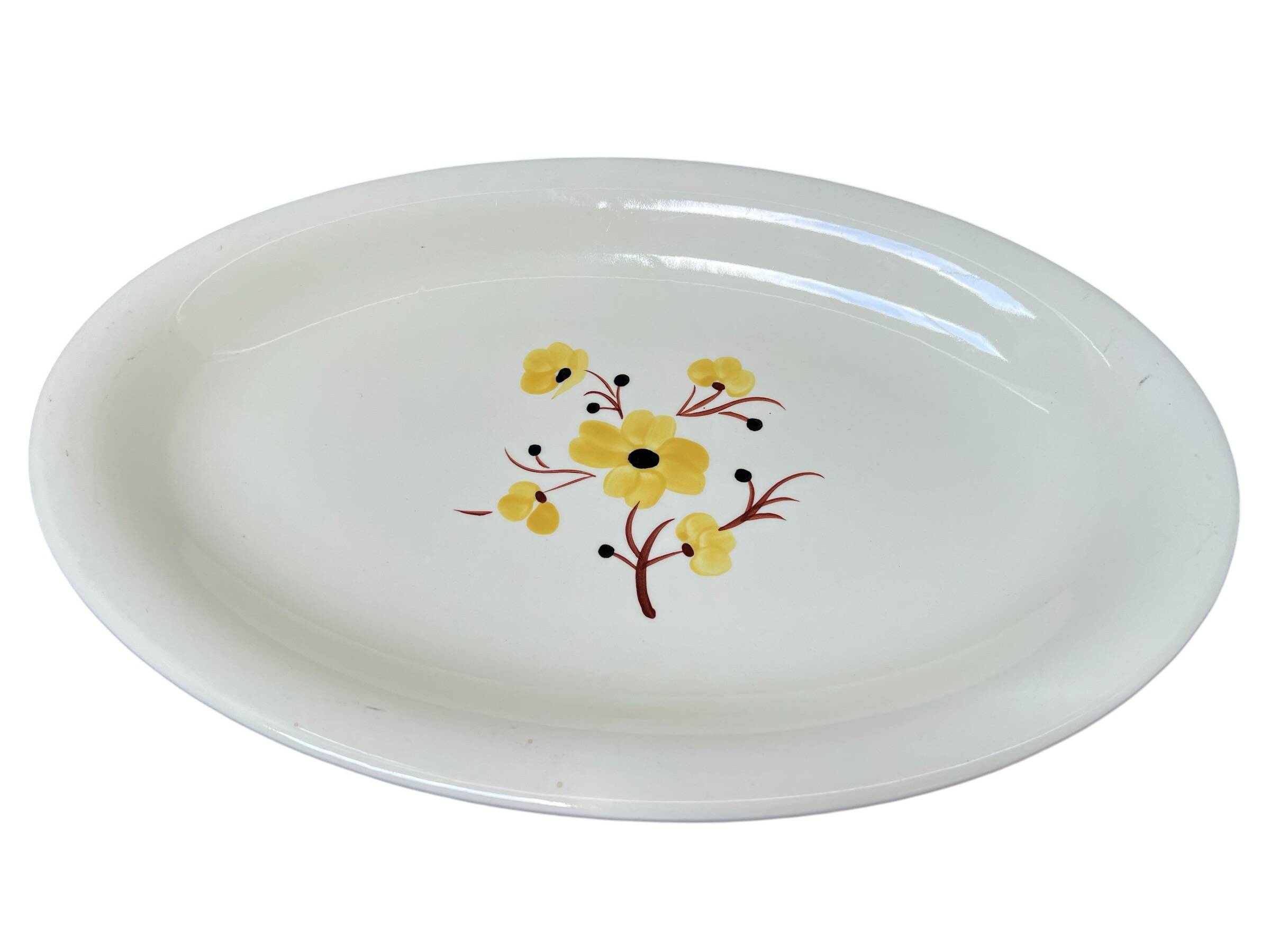 Salins earthenware dish