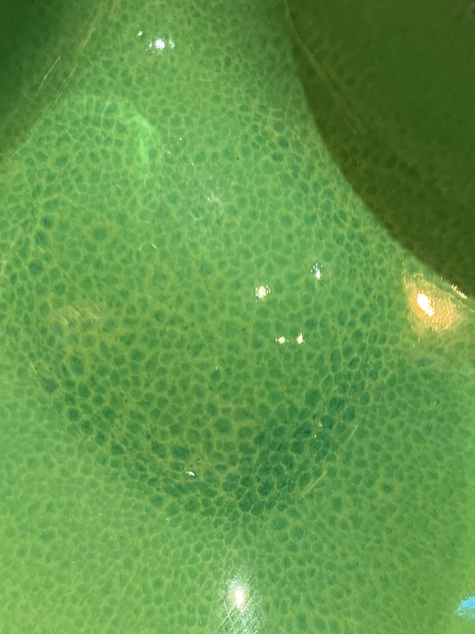 Ceramidi cup in varnished ceramic green and black mordorée