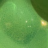 Ceramidi cup in varnished ceramic green and black mordorée