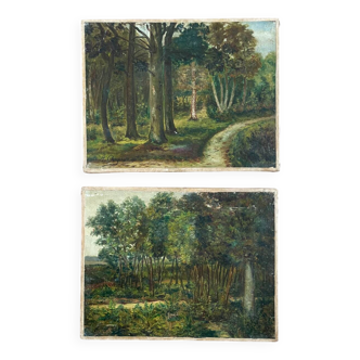 Set of 2 old paintings