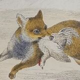 Original zoological plate " wolf & fox " - buffon 1938