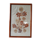 Herbarium
