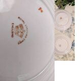 6 assiettes à thé Royal Stafford