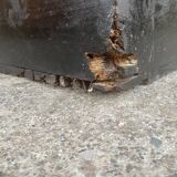 Large old trunk