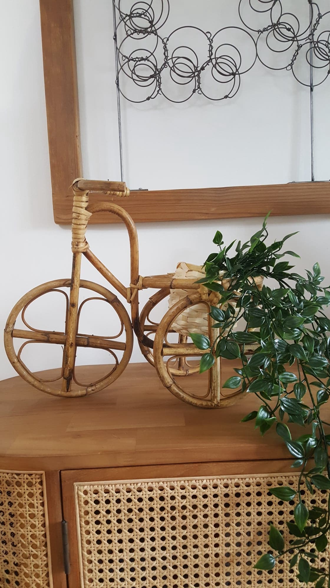 Rattan tricycle plant door