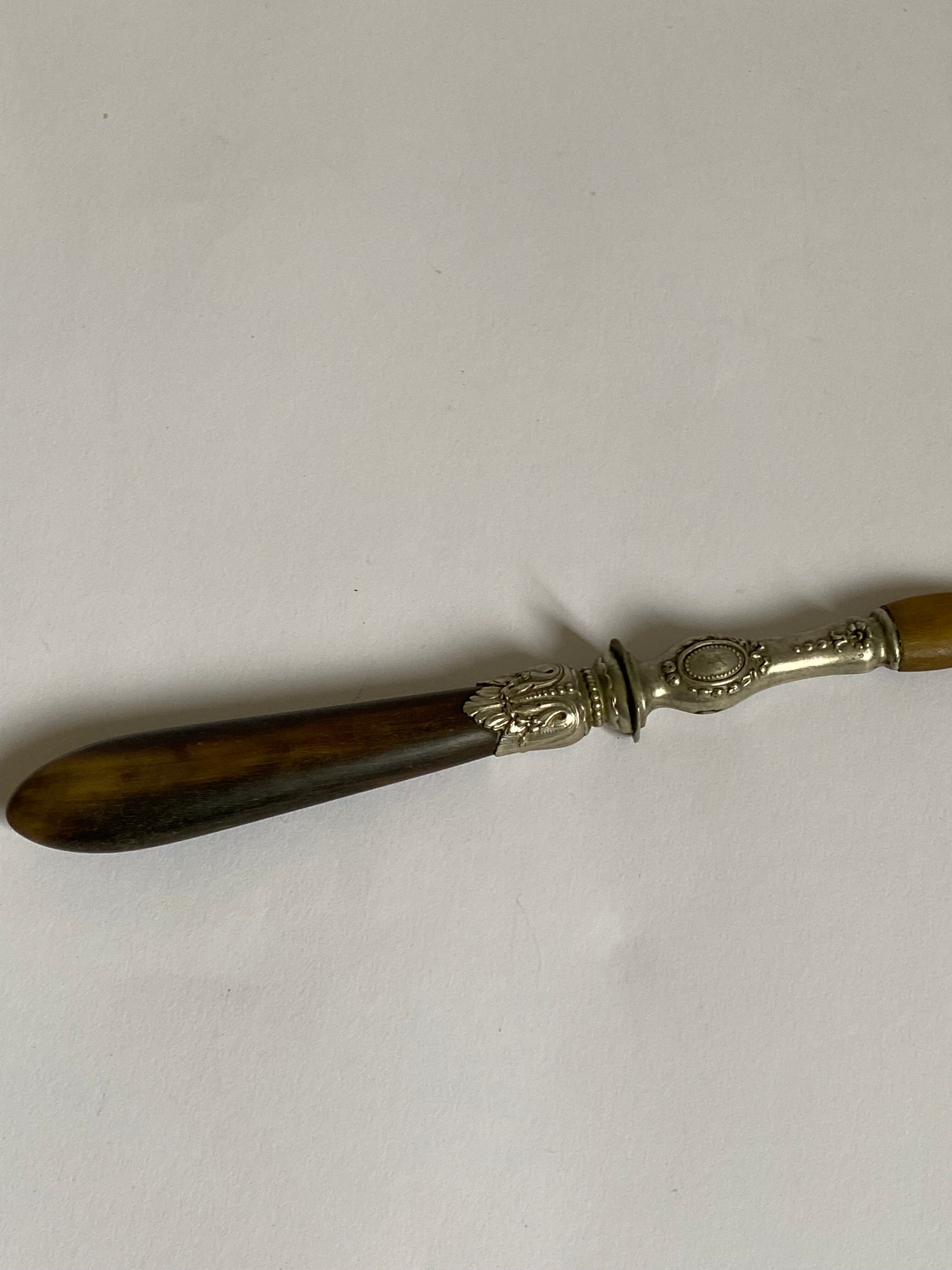 Cuillère en corne et métal argenté