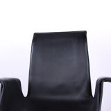 Danish armchair in Leather and Chrome Steel, model FK 6725 or "Tulip chair" by Preben Fabricius.